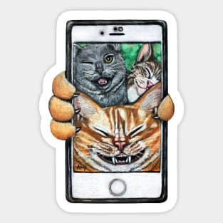 Selfie Cats Sticker